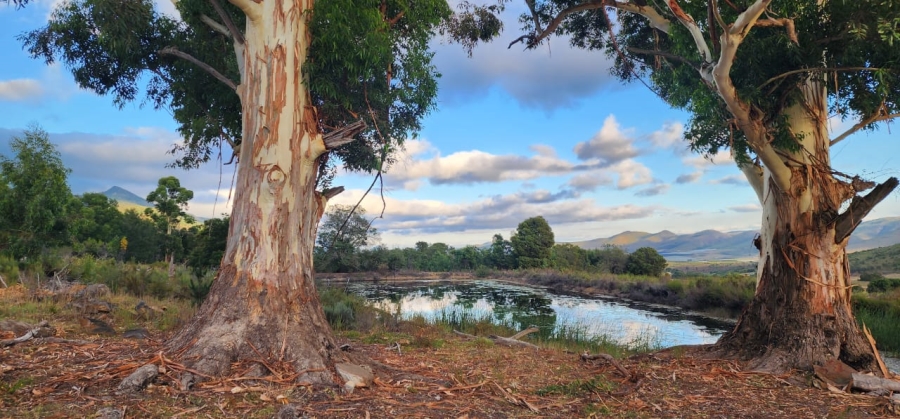 9 Bedroom Property for Sale in Joubertina Eastern Cape